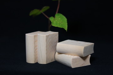 本のミニチュア模型 miniature toy books 3