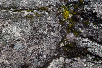 River - Mt Kosciuszko National Park