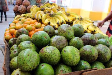 Frutas en la Plaza Baralt de Maracaibo Estado Zulia Venezuela