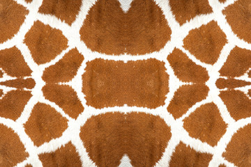 Closeup giraffe skin for the background