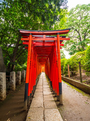 Nezu Jinja Shrine - the famous Shinto Shrine in Tokyo Bunkyo