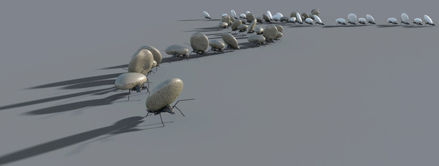 concept work, team of ants