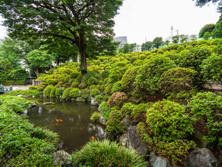 Fototapeta na wymiar Gardens of the Nezu Shrine in Tokyo Bunkyo