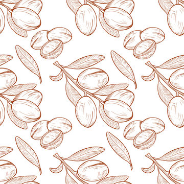 Argan. Plant. Background, wallpaper, seamless. Sketch. Monochrome