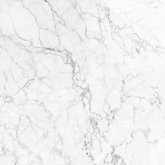 white marble texture background (High resolution).