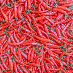 Red hot peppers