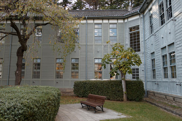 学校　中庭