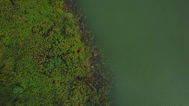 Flycam 4k green lake Da Lat Lam Dong Vietnam