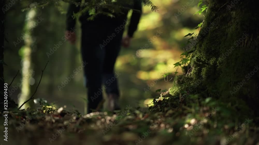 Poster a silhouette walking in slowmotion in the woods behind a large tree with moss on it, with a colorful