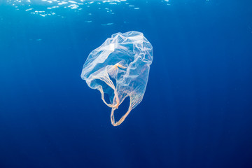 Fototapeta Underwater pollution:- A discarded plastic carrier bag drifting in a tropical, blue water ocean obraz
