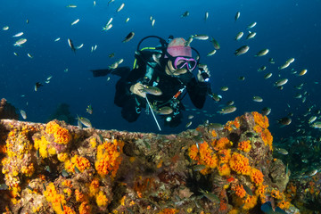 SCUBA diver exploring an old, coral encrusted underwater shipwreck in a tropical ocean (Boonsung,...