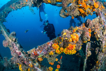 Fototapeta na wymiar SCUBA diver exploring an old, coral encrusted underwater shipwreck in a tropical ocean (Boonsung, Thailand)