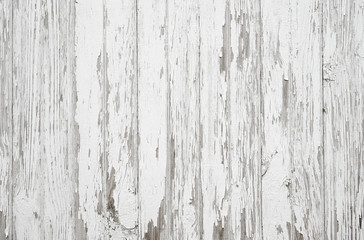Old weathered wood surface with long vertical boards. Wooden planks on a wall or floor with grain and texture. Light neutral flat faded tones.