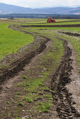 Tractor traces in the mud