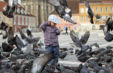 Child among doves