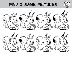 Funny little squirrel with a nut. Find two same pictures. Educational game for children.Blak and white cartoon vector illustration
Funny squirrel with a nut. Find two same pictures