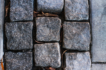 Lying on the pavement stones with long intervals between each other