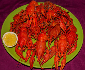 Crayfish on plate with a lemon slice