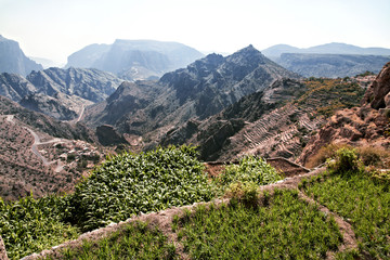 Image of landscape Saiq Plateau and terrace cultivation in Oman