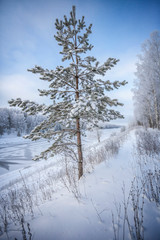 Winter landscape on the bank of the Moscow Canal.