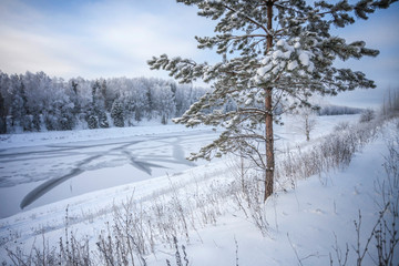 Winter landscape on the bank of the Moscow Canal.