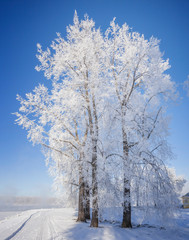 Winter in the city of Uglich.