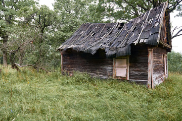 Fototapeta na wymiar old wooden house in the forest