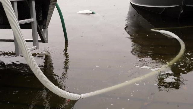 Tubing used in the release of Walleye sits in the cold water waiting for the fish to flow out into freedom.