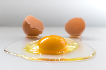 Close up of a cracked egg with egg shell in the background. White copyspace.