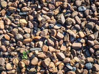 Small rocks cover the coast. Background texture
