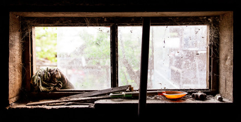 Old window in dark barn as background