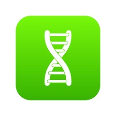 DNA strand icon digital green for any design isolated on white vector illustration
