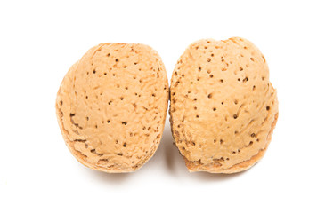 inshell almond isolated