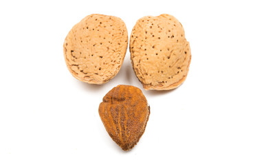 inshell almond isolated