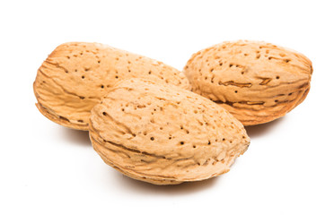 inshell almond isolated