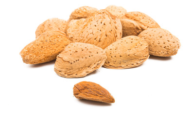 inshell almond isolated