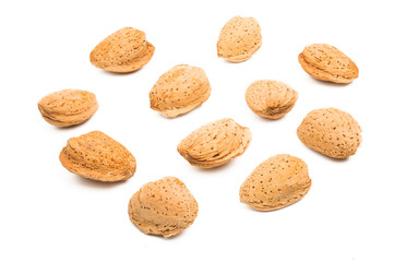 inshell almond isolated