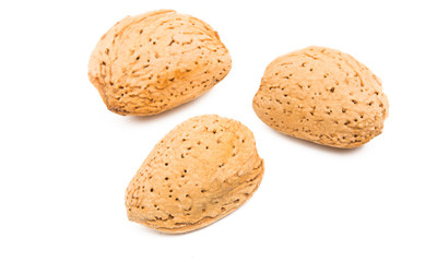inshell almond isolated