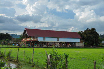 House in countryside in Vietnam