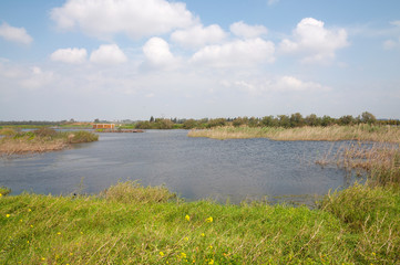 Park, pasture, wild lake in nature