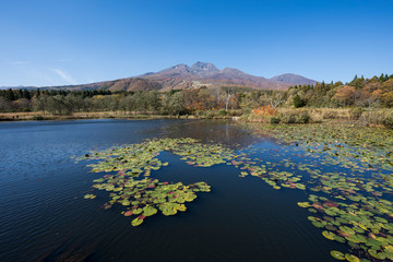 妙高高原いもり池