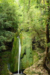 Water pouring down rocks in forest, rocks densely covered in moss to give green hue over area