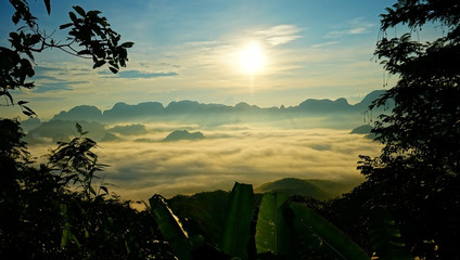 Mountain fog in the forest landscape.