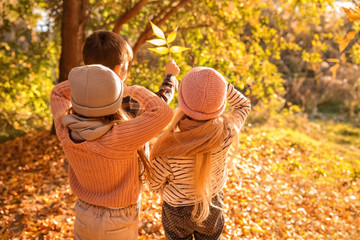 Cute little children in autumn park