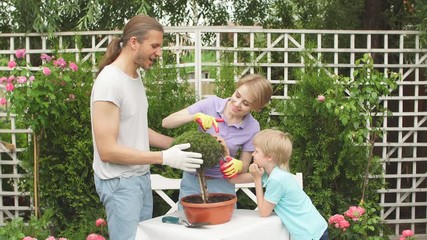 Funny young family working in the country house at summer day, Lovely positive couple teach the little son to trimm bonsai fir-tree. concept of happy Family, Hobby, Leisure, Gardening.