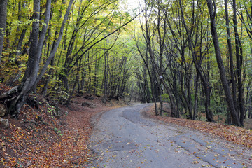 winding mountain road