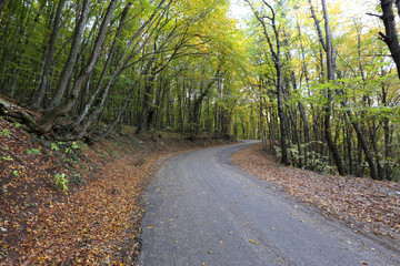 winding mountain road