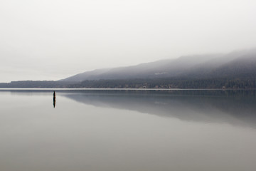 Morning fog over Lake Quinault on the Olympic Peninsula in western Washington state. Minimalist nature background.