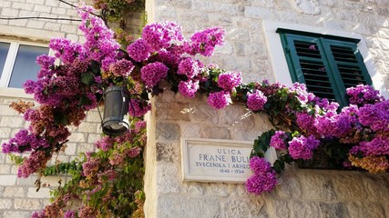 Split - Dalmatia - Croatia