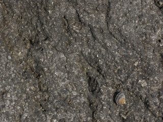 texture of stone